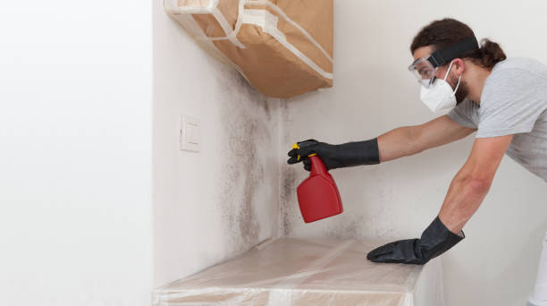 Professional Black Mold Removal technician working in Columbus, NC