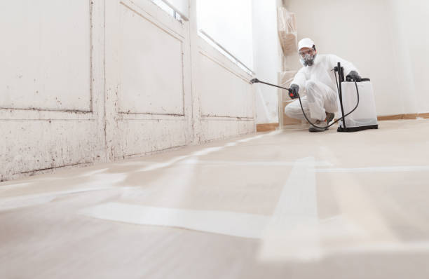 24/7 Emergency Black Mold Removal experts in Columbus, NC